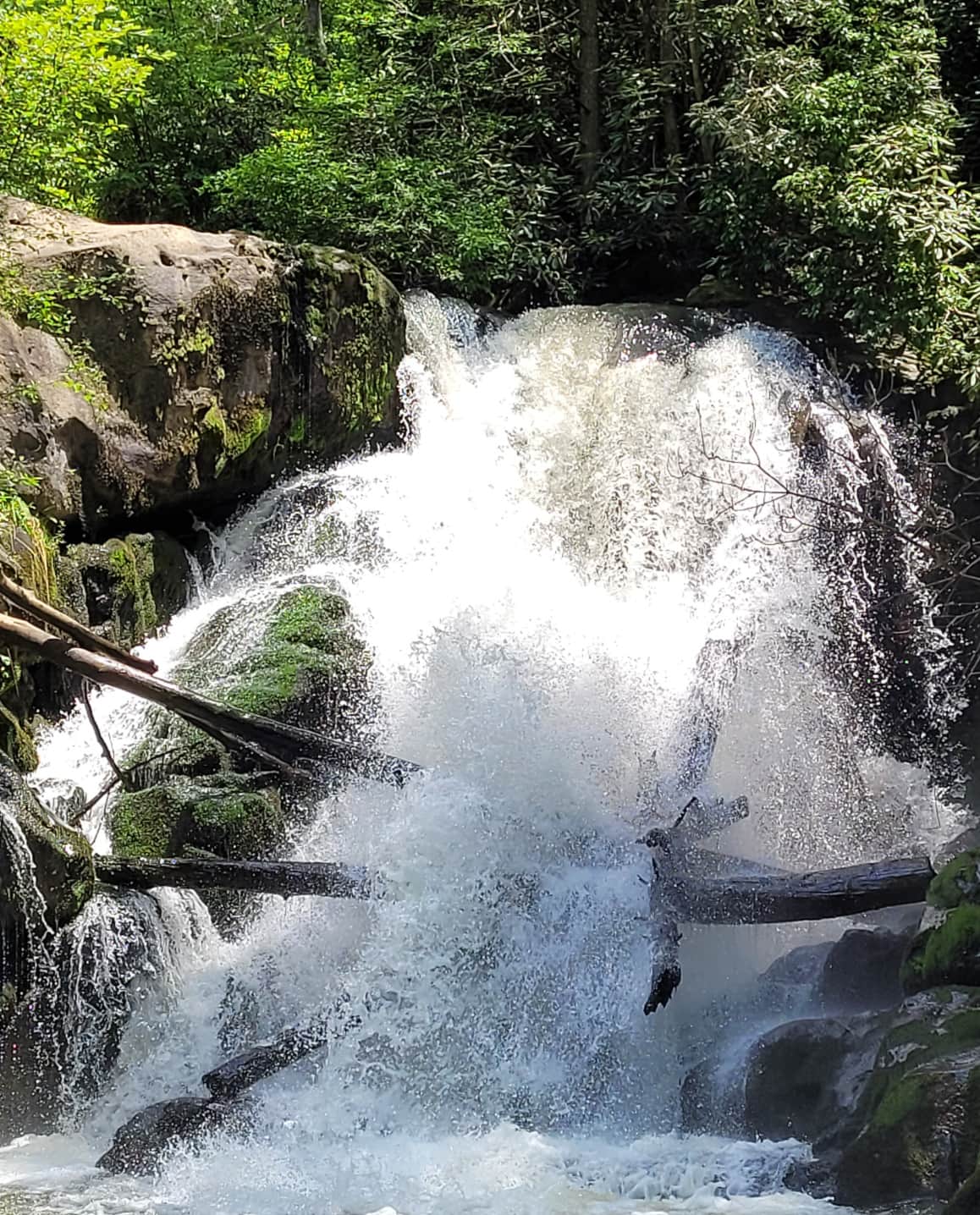 Scenic Blue Ridge Mountain trails and outdoor activities near Murphy, North Carolina