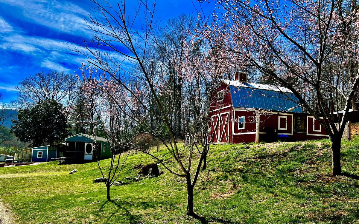Candy Mountain Goat Farm barn