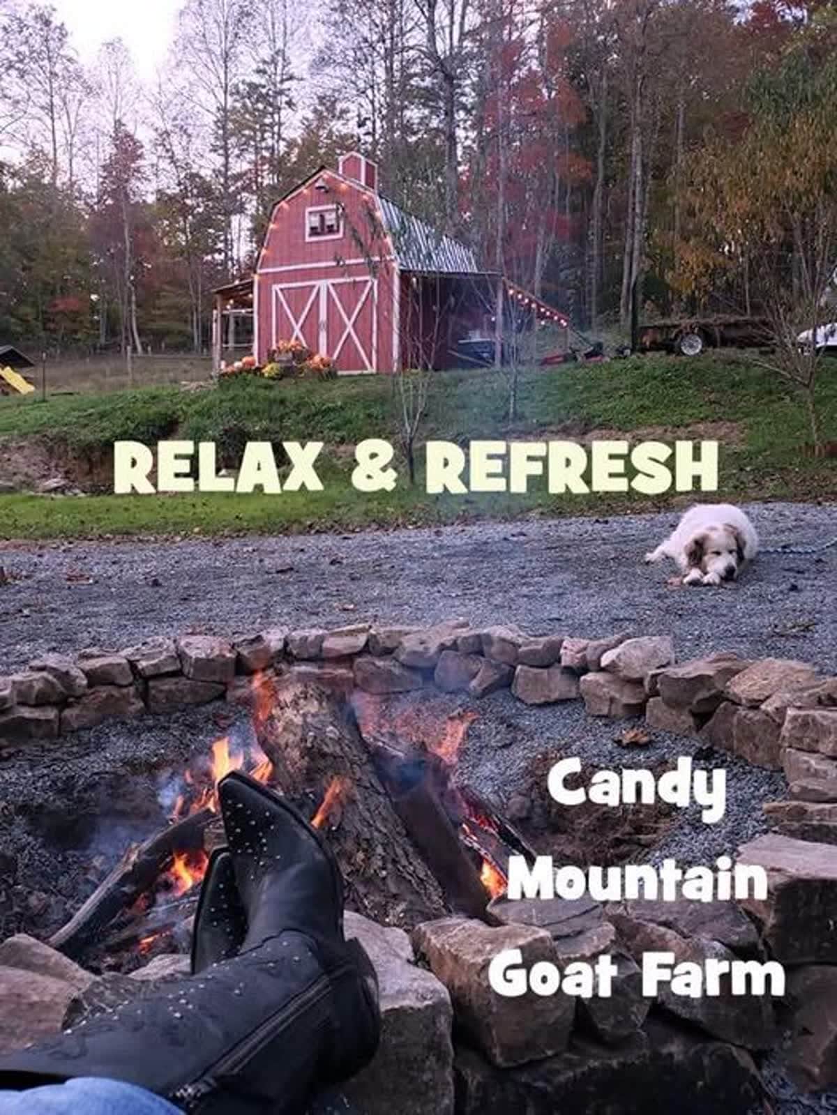 Relaxing mountain view at Candy Mountain Goat Farm in Murphy, NC